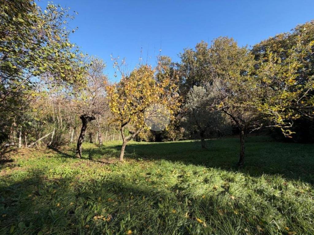 Villa a Fara in sabina in Via Colle S. Pietro, 36 - Foto 5