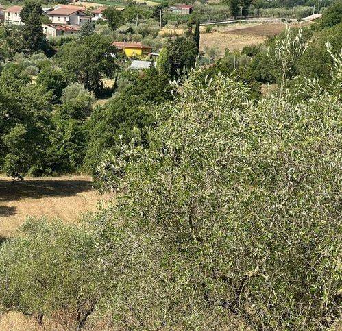 Terreno a Senerchia in Contrada Ponte Oliveto - Foto 2