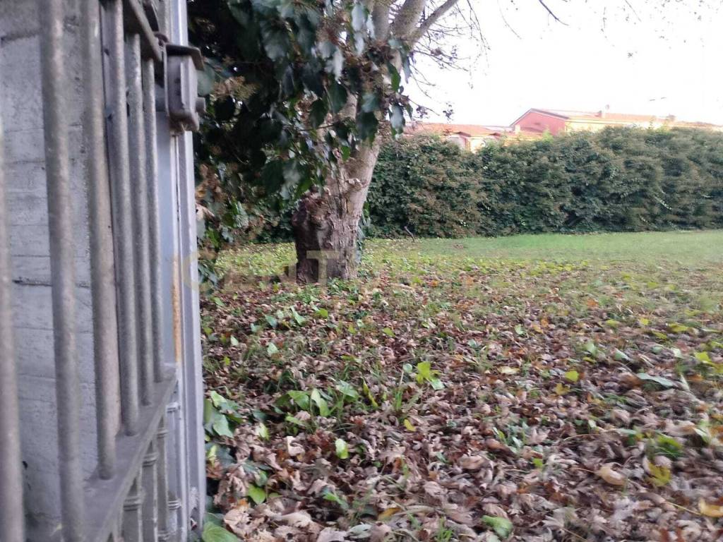Terreno a Cerea in Via mantova - Foto 3
