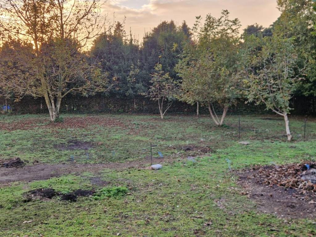 Terreno a Velletri in Via dei Corsi - Foto 2