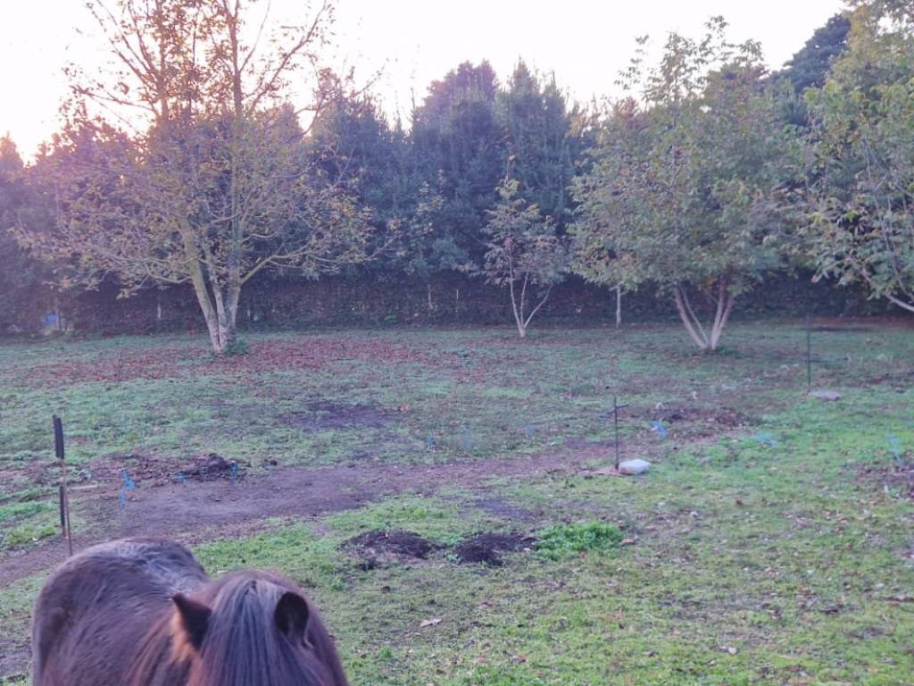 Terreno a Velletri in Via dei Corsi - Foto 3
