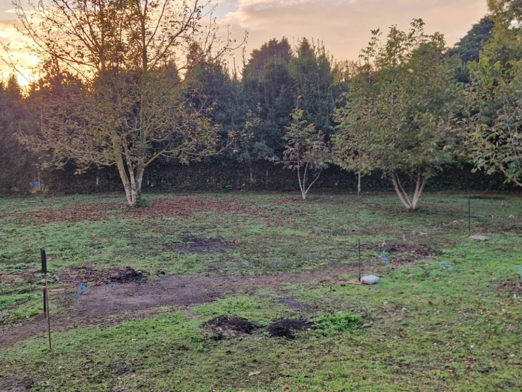 Terreno a Velletri in Via dei Corsi - Foto 4