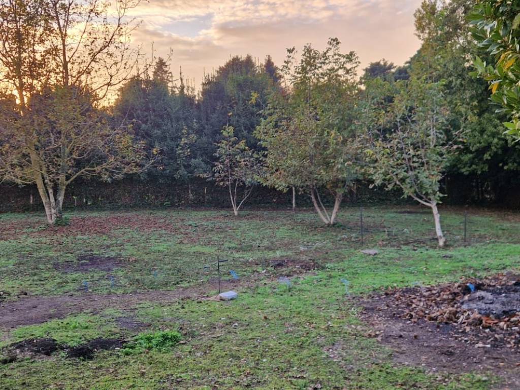 Terreno a Velletri in Via dei Corsi - Foto 5