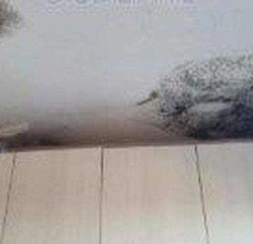 Appartamento a Casciana terme lari in Via Cardelli 11 - Foto 2