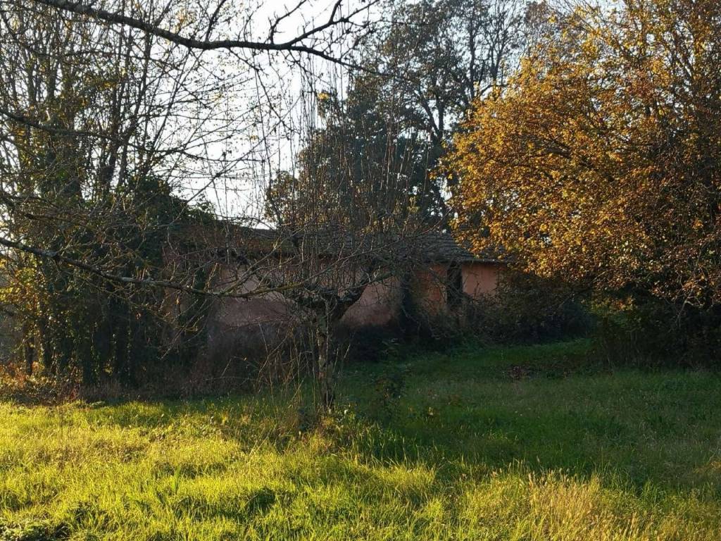 Rustico / casale a Pofi in strada provinciale - Foto 4