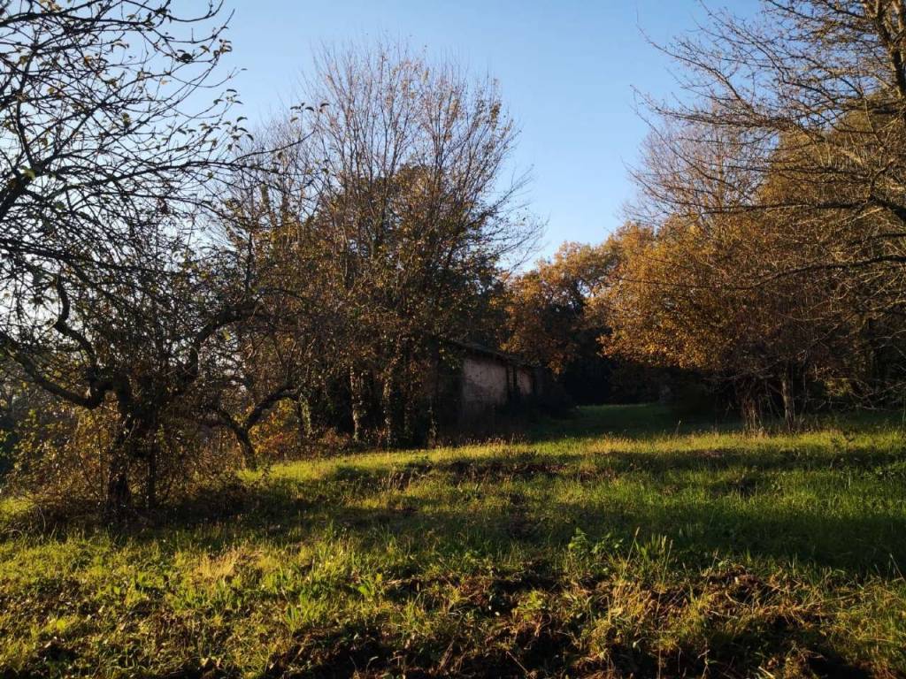 Rustico / casale a Pofi in strada provinciale - Foto 5