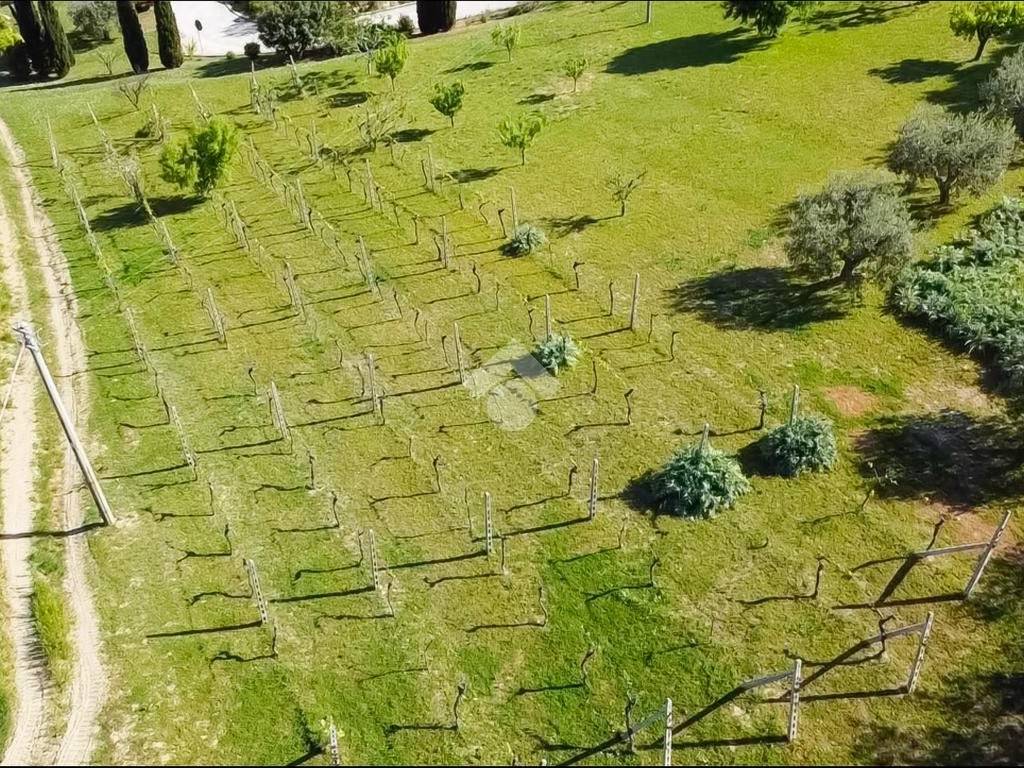 Terreno a Fermo in via S. Pietro Orgiano, 13 - Foto 4