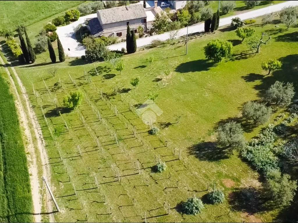 Terreno a Fermo in via S. Pietro Orgiano, 13 - Foto 5