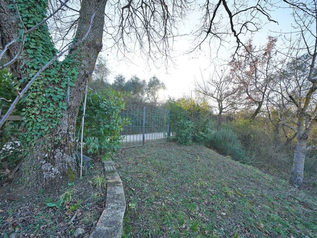 Rustico / casale a Cinigiano in Loc. Fonte Del Salcio No Number - Foto 5