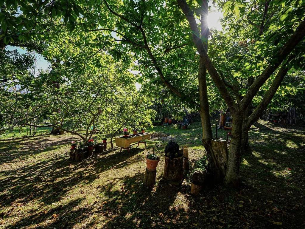 Villa a Arcidosso in Case Rosse No Number - Foto 4