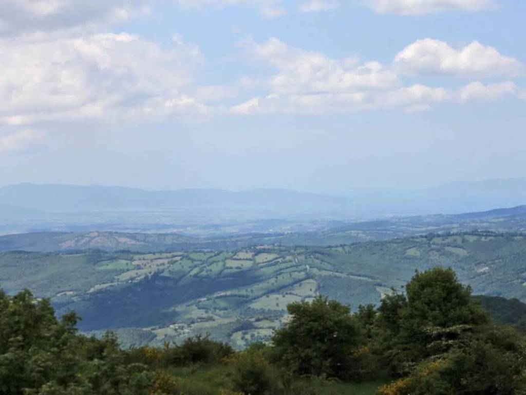 Rustico / casale a Santa fiora in Via Provinciale No Number - Foto 4