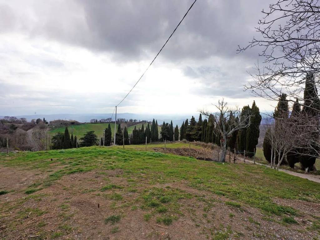 Rustico / casale a Arcidosso in Stribugliano S.N.C. - Foto 4