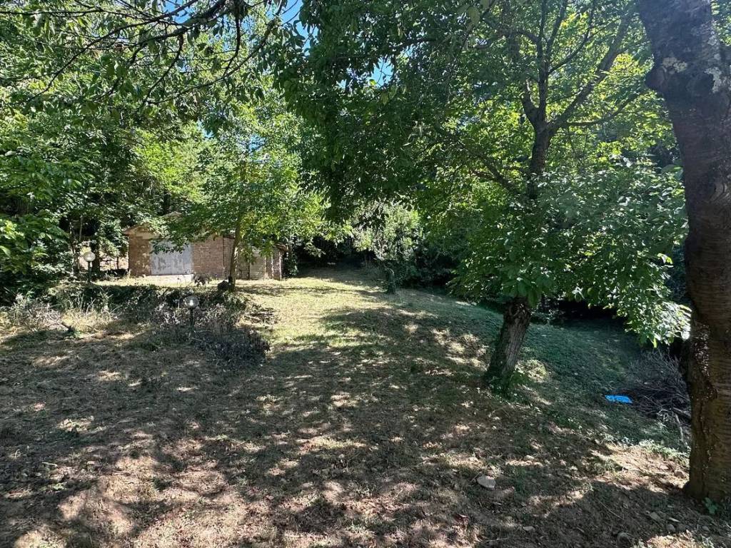 Villa a Santa fiora in Via Case Vescovi, 13 - Foto 5