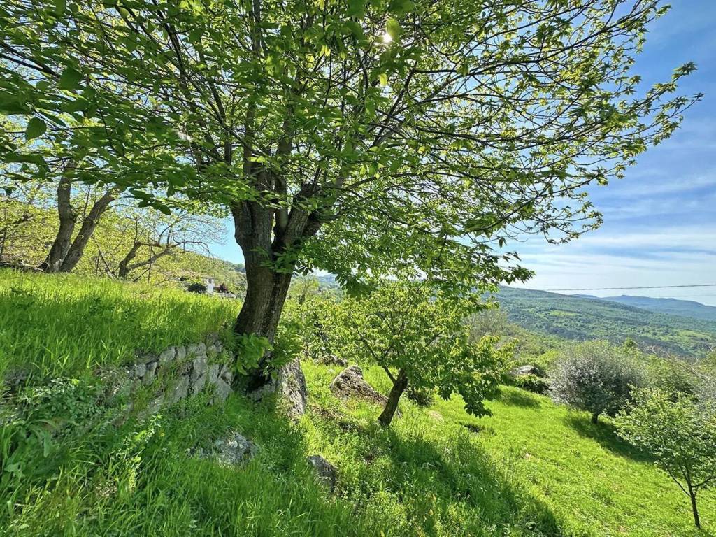 Villa a Santa fiora in Via Ferdinando Di Giulio, 150 - Foto 5