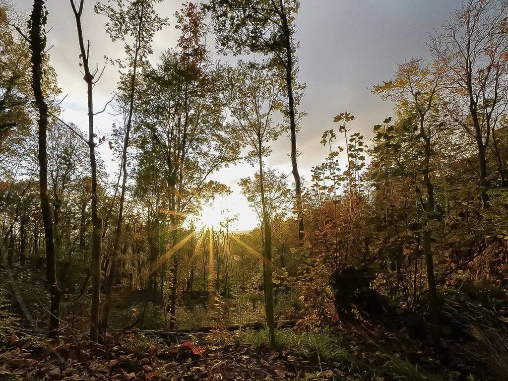 Villa a Santa fiora in Selva No Number - Foto 3