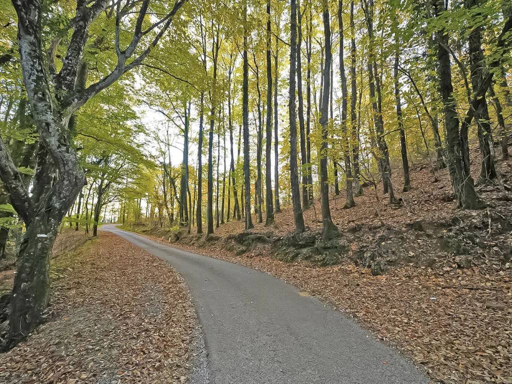 Villa a Santa fiora in Selva No Number - Foto 5