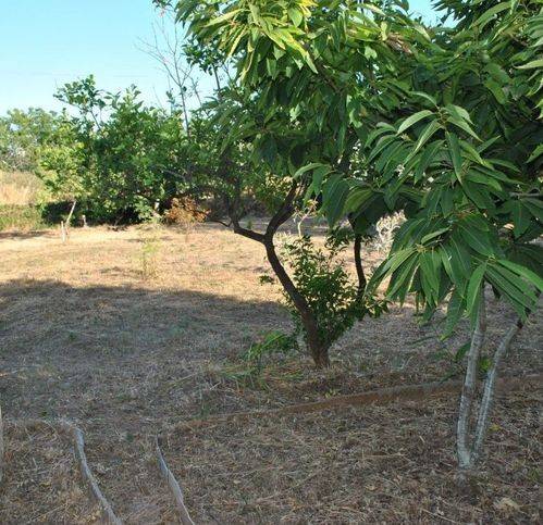 Terreno a Lecce in Via Piero Bargellini 19 -11 - Foto 5