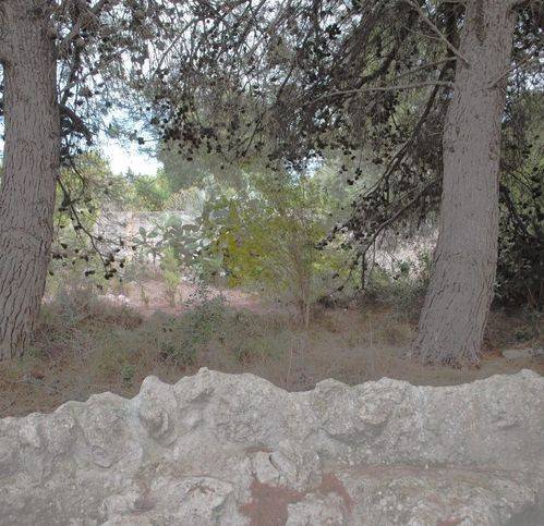 Terreno a Lecce in Viale Fiorito 2 - Foto 2