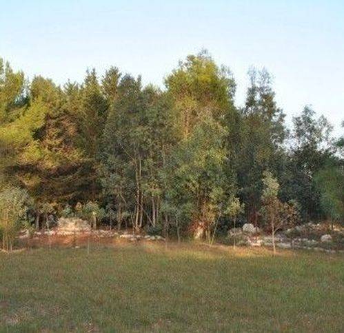 Terreno a Lecce in Viale Fiorito 15 -9 - Foto 3