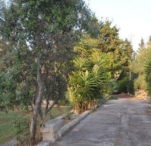 Terreno a Lecce in Viale Fiorito 15 -9 - Foto 4