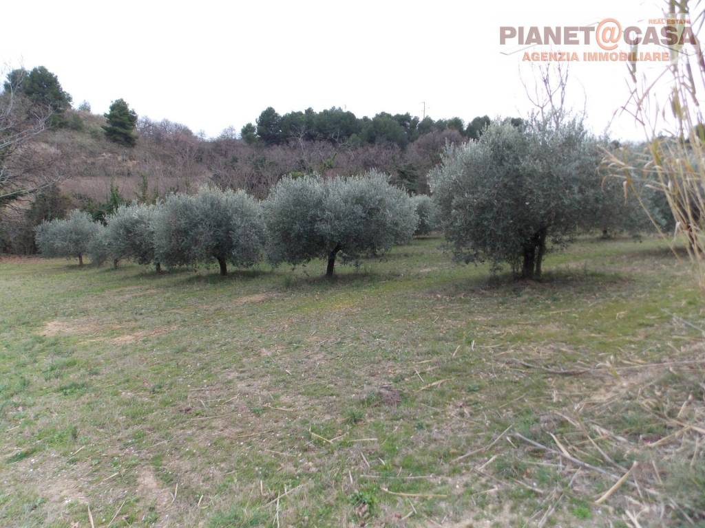 Terreno a San benedetto del tronto in Contrada Santa Lucia - Foto 3