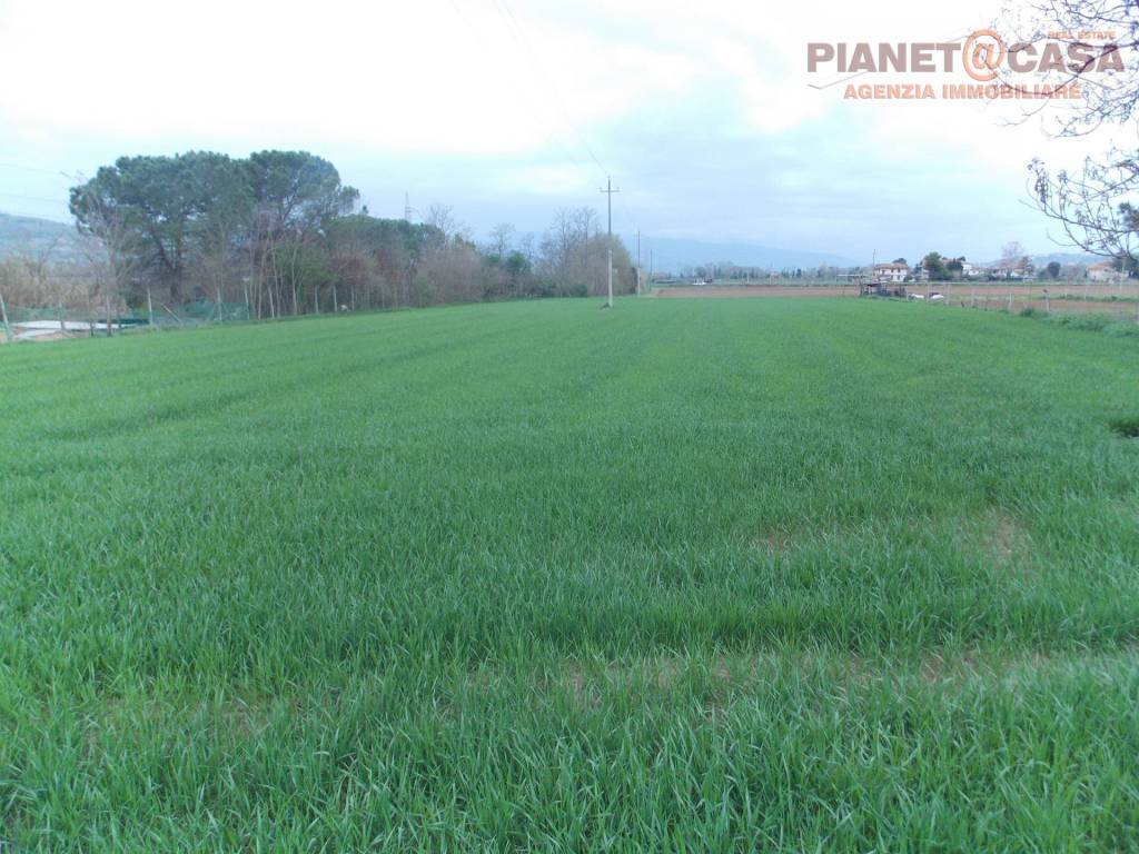 Terreno a Monsampolo del tronto in Contrada San Mauro - Foto 2