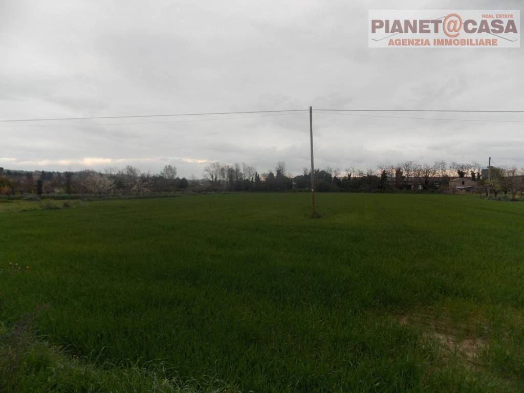 Terreno a Monsampolo del tronto in Contrada San Mauro - Foto 3