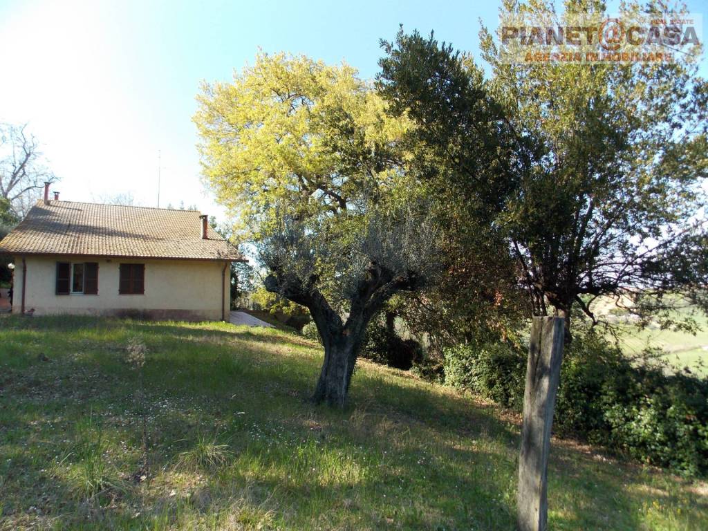 Casa indipendente a Colli del tronto in Contrada Vivare - Foto 5