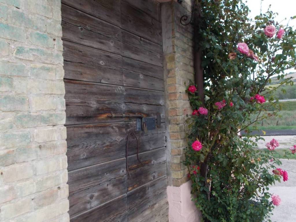 Casa indipendente a Colli del tronto in Via Casale inferiore, 10 - Foto 4