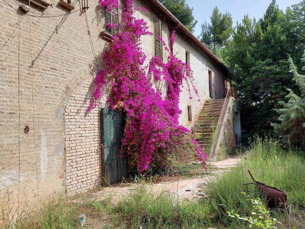 Villa a Spinetoli in Villa Ciarulli - Foto 2