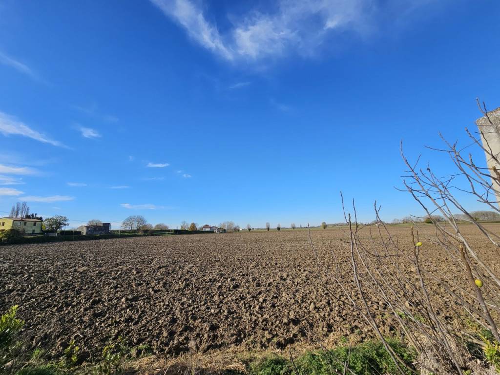 Terreno a Vescovana in VIA 28 APRILE - Foto 3