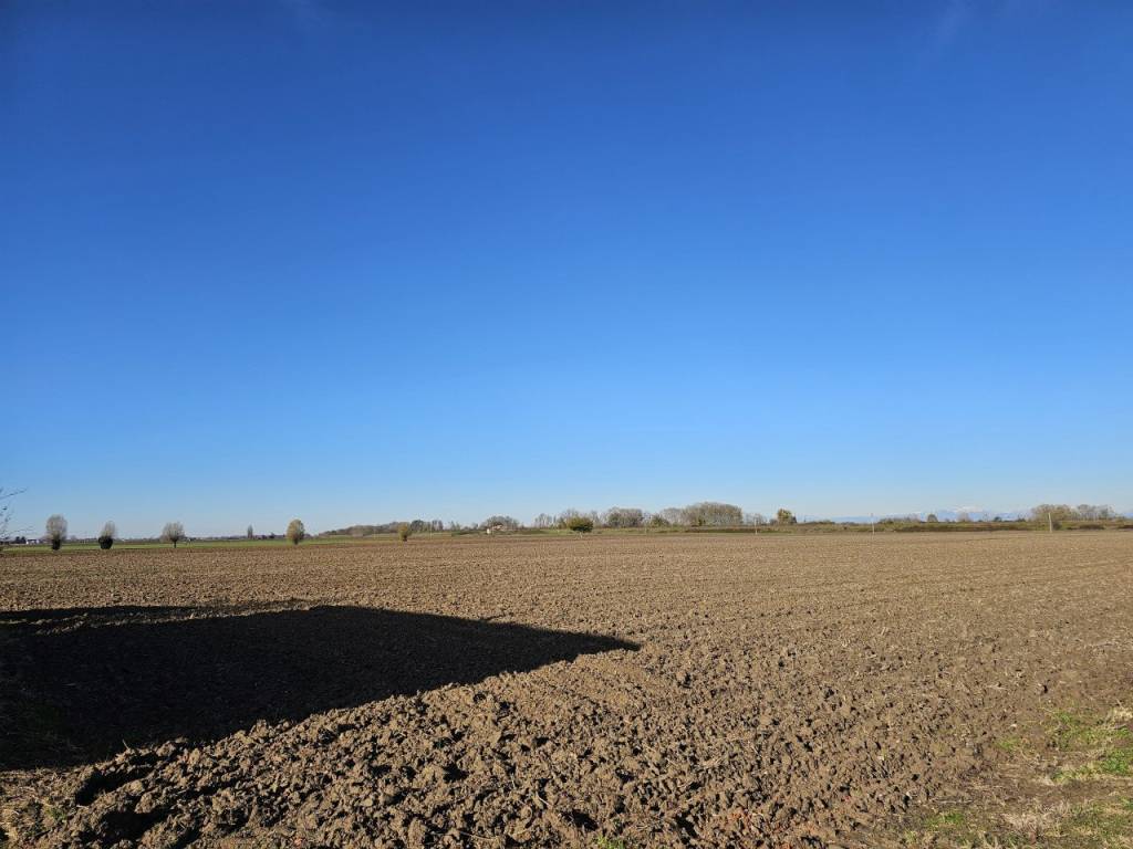 Terreno a Vescovana in VIA 28 APRILE - Foto 4
