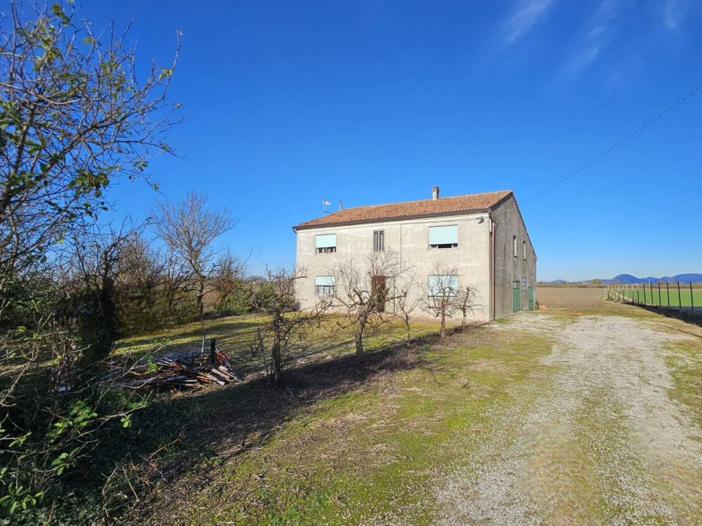 Terreno a Vescovana in VIA 28 APRILE - Foto 5