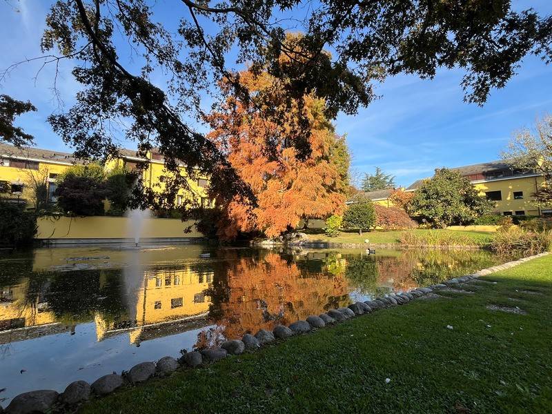 Appartamento a Lesmo in Via Ugo Foscolo, 12 - Foto 2