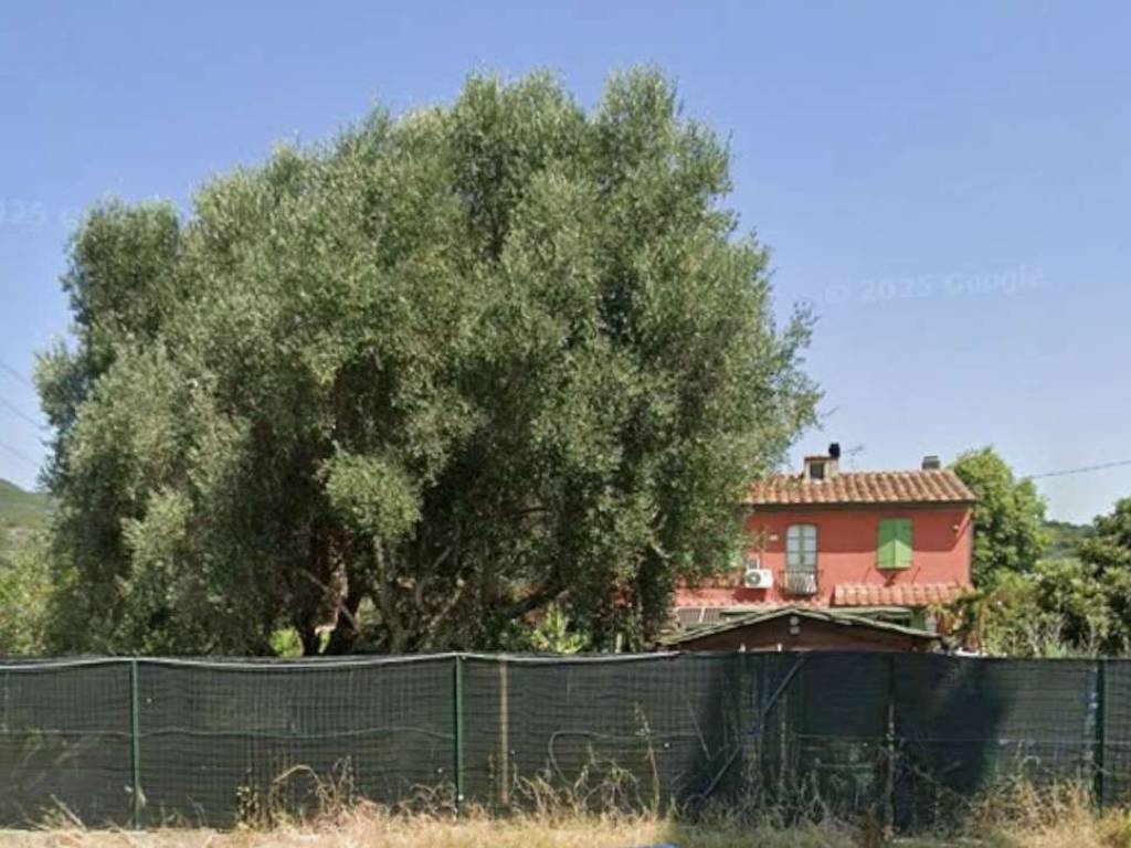 Rustico / casale a Cascina - Foto 4