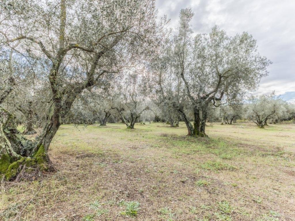 Rustico / casale a Vetralla in Strada Statale 1bis Via Aurelia - Foto 2