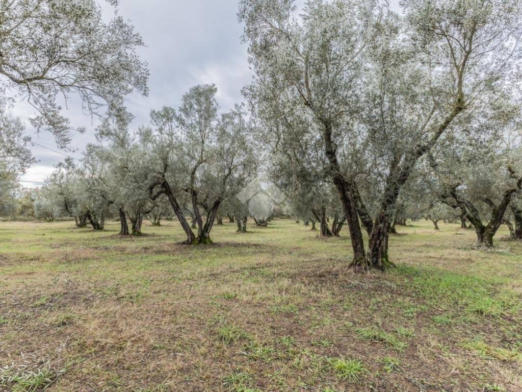 Rustico / casale a Vetralla in Strada Statale 1bis Via Aurelia - Foto 3