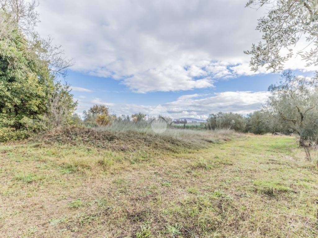 Rustico / casale a Vetralla in Strada Statale 1bis Via Aurelia - Foto 4