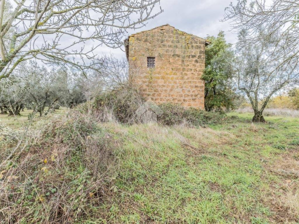 Rustico / casale a Vetralla in Strada Statale 1bis Via Aurelia - Foto 5