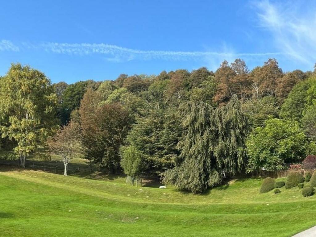 Villa a Alta valle intelvi in via C. Goldoni , 17 - Foto 2