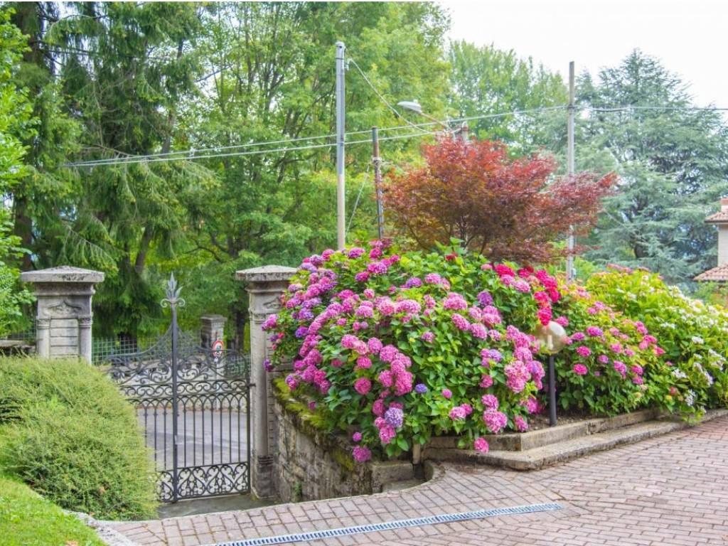 Appartamento a Alta valle intelvi in via C. Goldoni , 5 - Foto 5