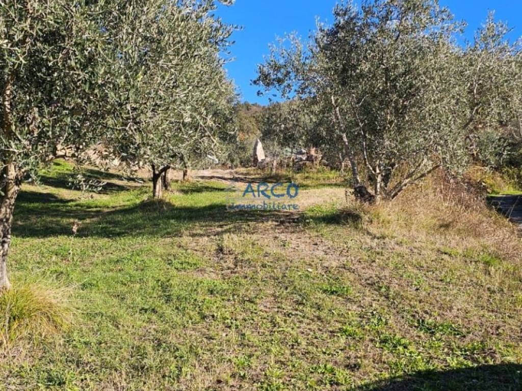 Terreno a Arco - Foto 3