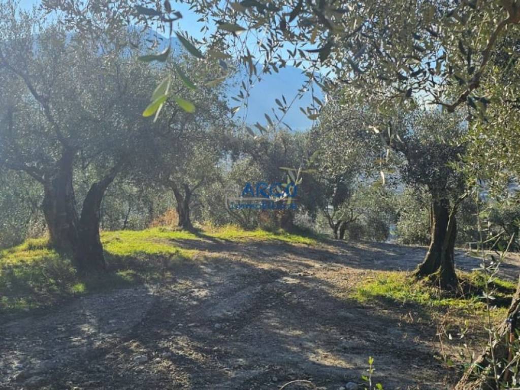 Terreno a Arco - Foto 4