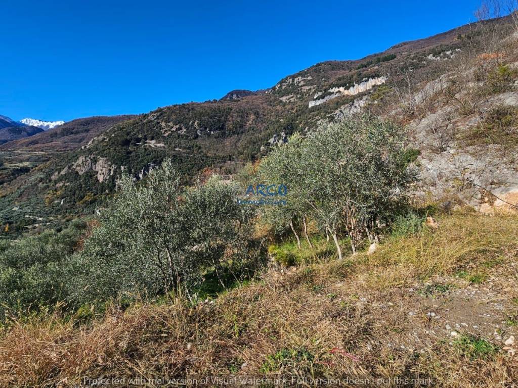 Terreno a Arco in Strada Varignano Padaro - Foto 3