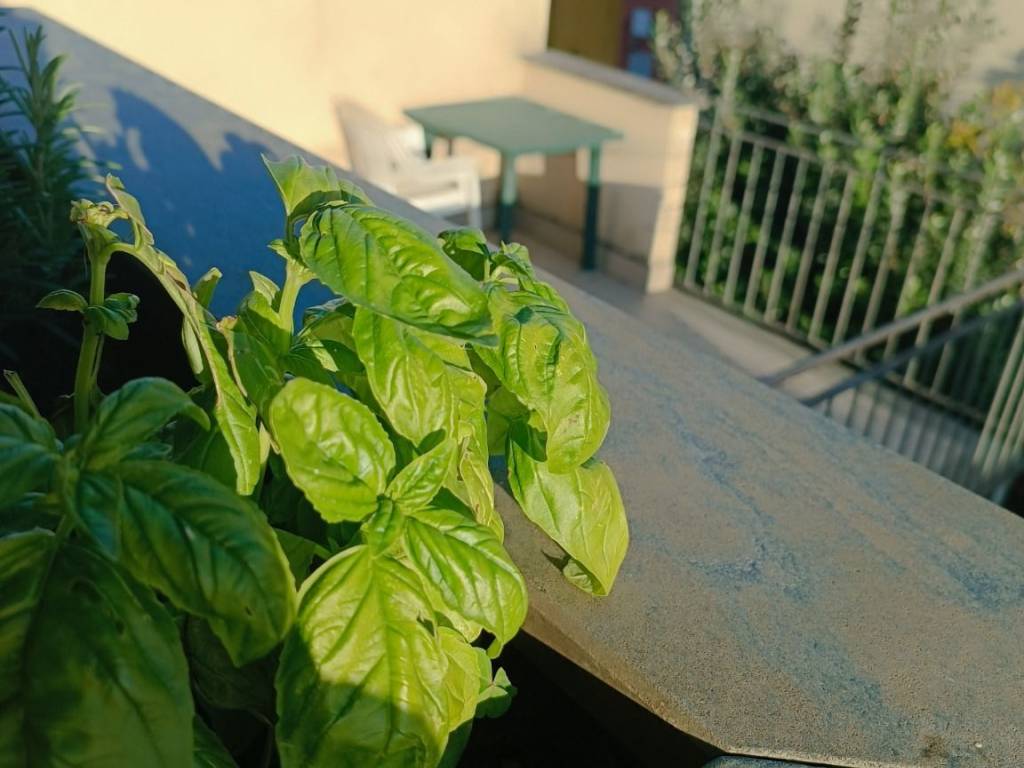 Appartamento a Prato in Via del Purgatorio - Foto 4