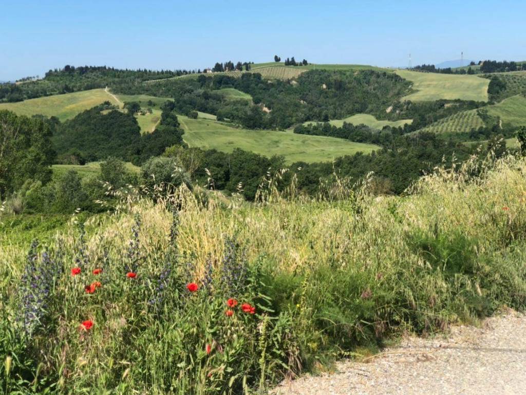 Casa indipendente a Montespertoli in Via Montelupo, 149 - Foto 2