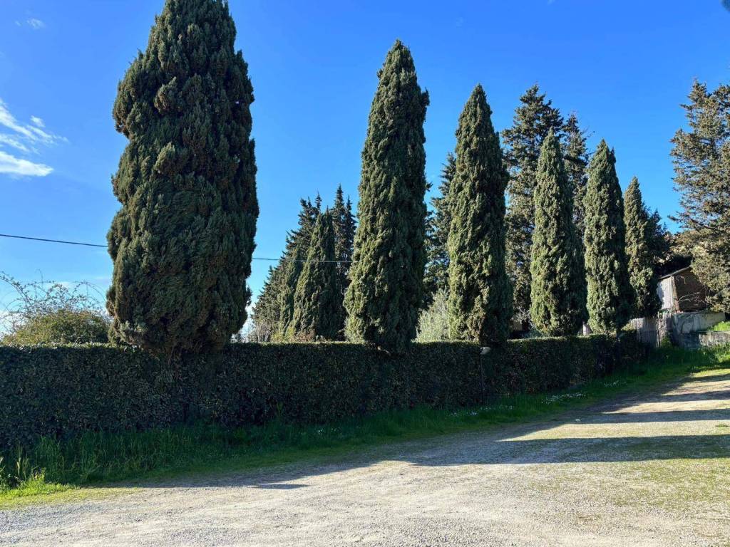 Casa indipendente a Montespertoli in Via Montelupo, 149 - Foto 3