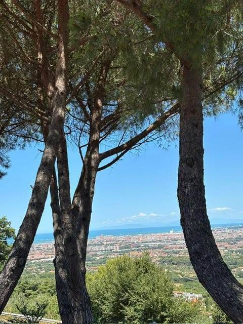 Appartamento a Livorno - Foto 3