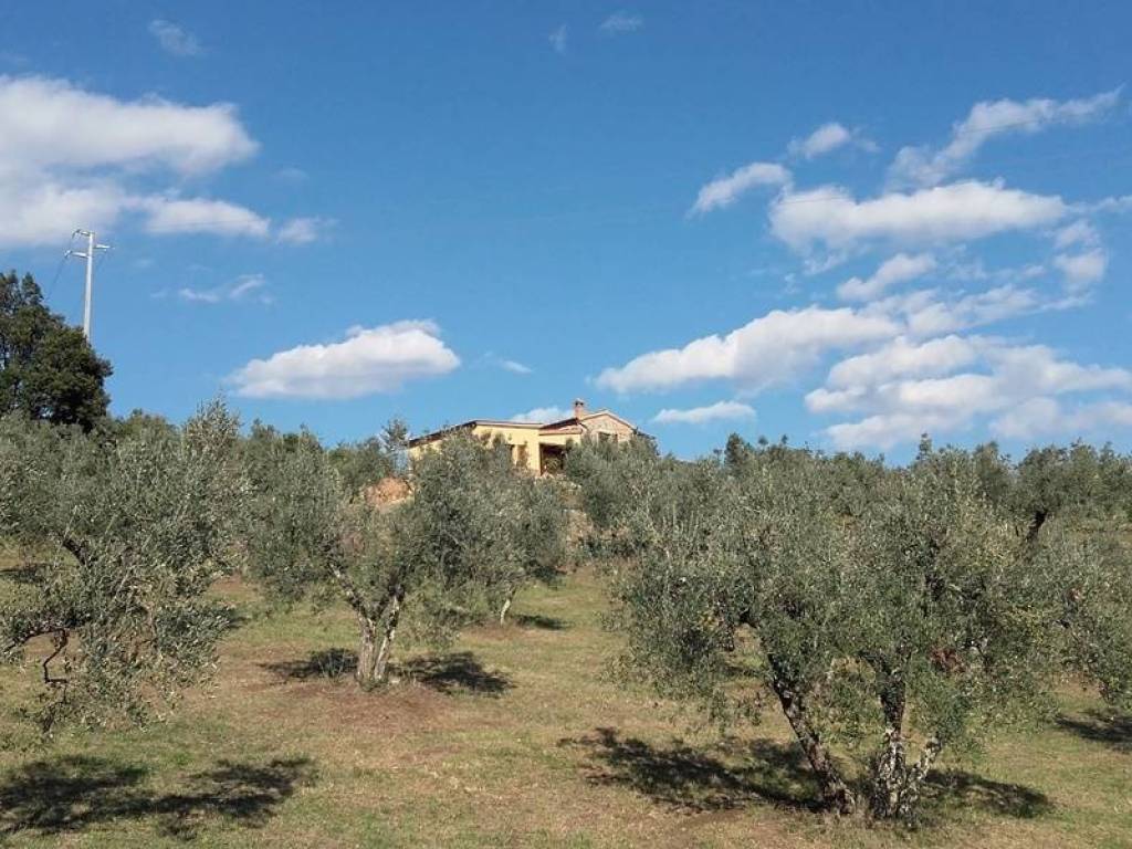 Rustico / casale a Roccastrada - Foto 4