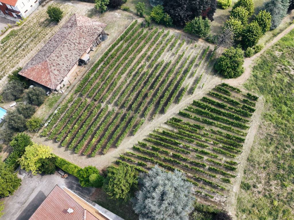 Villa a Calosso in Via San Siro - Foto 5